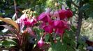 WP_20160723_10_45_26_Pro