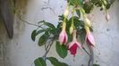 WP_20160714_17_45_28_Pro