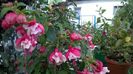 WP_20160718_18_58_26_Pro