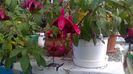 WP_20160720_07_37_04_Pro