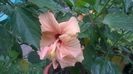 WP_20160720_16_18_46_Pro
