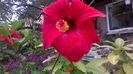 WP_20160720_16_19_17_Pro