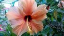 WP_20160722_20_33_49_Pro