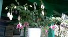 WP_20160717_10_50_53_Pro