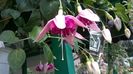 WP_20160717_10_50_59_Pro