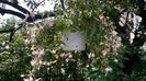 WP_20160717_13_16_34_Pro