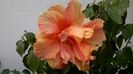 WP_20160601_20_22_14_Pro
