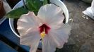 WP_20160710_17_53_45_Pro