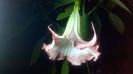 WP_20160718_22_48_00_Pro