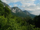 DSCN1704