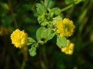 DSCN1708
