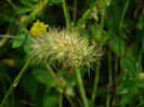 DSCN1709
