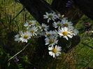 DSCN1721