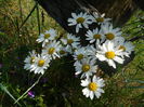 DSCN1722