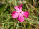 DSCN1723