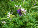 DSCN1733