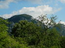 DSCN1734