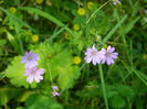 DSCN1743