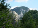 DSCN1744