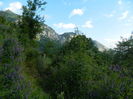 DSCN1746