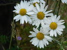 DSCN1753