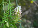 DSCN1754