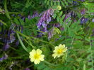 DSCN1757