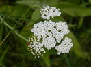DSCN1764
