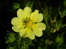 DSCN1771