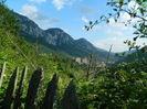 DSCN1774