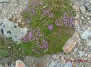 mm3_jasper_090_18072016_skytram