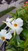 20160724_070359