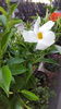 20160724_070353