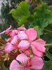 20160723_152939