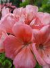 20160723_152946