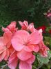 20160723_152954