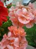 20160723_153001