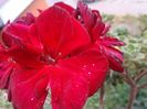 20160723_153037