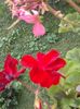 20160723_153049
