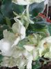 20160723_153328
