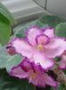20160723_153337