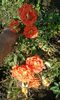 20160724_090336