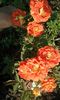 20160724_090319