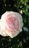 20160724_085129