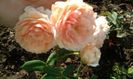 20160724_083340