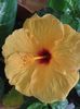20160724_100752
