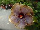 034