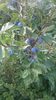 WP_20160723_041