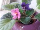 20160724_120102