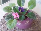 20160724_120041